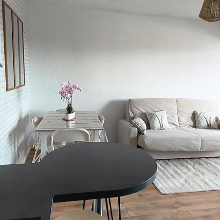 Apartamento Climatise 4 Pers Cap Coudalere Avec Piscine Le Barcarès
