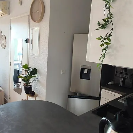 Apartamento Climatise 4 Pers Cap Coudalere Avec Piscine Le Barcarès